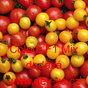 Rajče tyčkov&eacute; hybridn&iacute; Colour F1 Mix