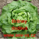 Sal&aacute;t hl&aacute;vkov&yacute; Britney