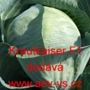 Zel&iacute; hl&aacute;vkov&eacute; b&iacute;l&eacute; hybridn&iacute; Krautkaiser F1