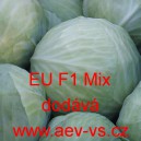 Zel&iacute; hl&aacute;vkov&eacute; b&iacute;l&eacute; hybridn&iacute; skladovateln&eacute; pozdn&iacute; EU F1 Mix