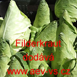 Zel&iacute; hl&aacute;vkov&eacute; b&iacute;l&eacute; &scaron;pičat&eacute; Filderkraut